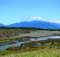 Eubenangee Swamp National Park - Darwin Holiday