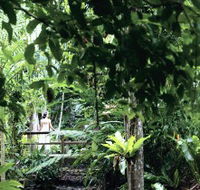 Flecker Botanic Gardens - Darwin Holiday
