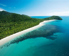 Cape Tribulation, Daintree National Park - Darwin Holiday 0