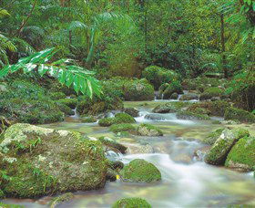 Mossman Gorge, Daintree National Park - Darwin Holiday 0