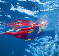 Great Detached Reef Dive Site - Darwin Holiday