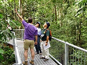 Daintree Discovery Centre - Darwin Holiday 0