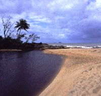 Russell River National Park - Darwin Holiday