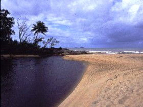 Russell River National Park - Darwin Holiday 0