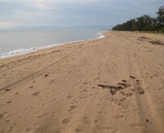 Book Palm Creek QLD Attractions Darwin Holiday Darwin Holiday