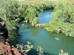 Wild Dog Dreaming, Boodjamulla (Lawn Hill) National Park - Darwin Holiday 0