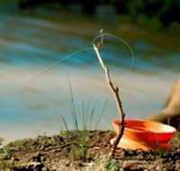 Charleville - Mangalore Warrego River Fishing Spot - Darwin Holiday