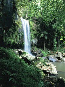 Curtis Falls, Joalah Section - Darwin Holiday 0