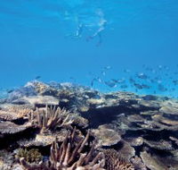 Australian Institute of Marine Science - Darwin Holiday