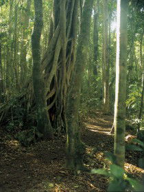 Mount Bithongabel - Darwin Holiday 0