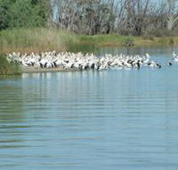 Lake Ross - Darwin Holiday