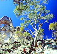 Mount Moffatt Section - Carnarvon National Park - Darwin Holiday