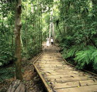 Lake Barrine Circuit Track Crater Lakes National Park - Darwin Holiday