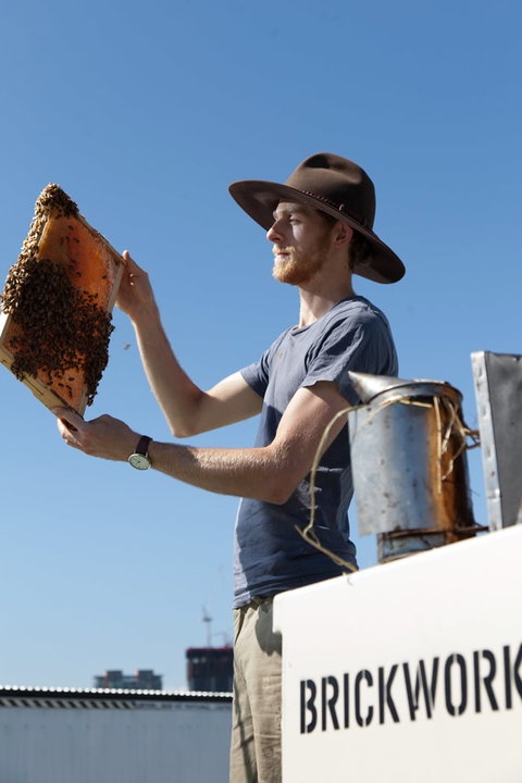 Brickworks Centre - Darwin Holiday 10