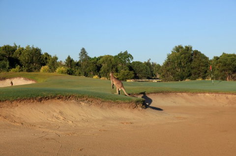 Pelican Waters Golf Club - Darwin Holiday 6