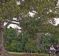 Ravensbourne National Park - Darwin Holiday