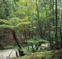 Fraser Island Great Walk - Darwin Holiday