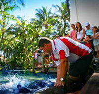 The Living Reef on Daydream Island - Darwin Holiday