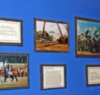 Town Hall Photographic Display - Darwin Holiday