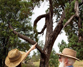 Charleville - Outback Native Timber Walk - Darwin Holiday 0