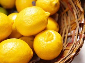 Cotters Markets - Darwin Holiday 0