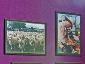 Charleville Photographic Display - Darwin Holiday 0
