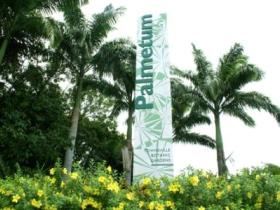 Townsville Palmetum - Darwin Holiday 0