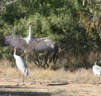 Bulloo River Walk - Darwin Holiday