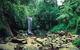 Tamborine National Park - thumb 0