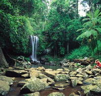 Tamborine National Park - Darwin Holiday