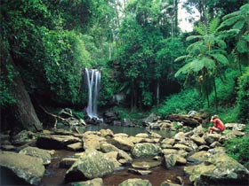 Tamborine National Park - Darwin Holiday 0