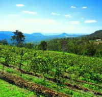 Preston Peak Wines - Darwin Holiday