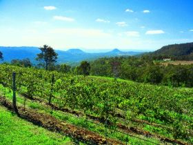 Preston Peak Wines - Darwin Holiday 0