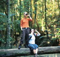 Birdwatching on the Fraser Coast - Darwin Holiday