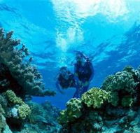 Coral Gardens Dive Site - Darwin Holiday