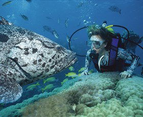 Pelorus Island - Darwin Holiday 0