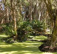 Arkarra Lagoons and Tea Gardens - Darwin Holiday