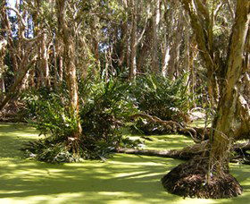 Arkarra Lagoons And Tea Gardens - Darwin Holiday 0