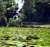 Queens Park Waterfall - Darwin Holiday