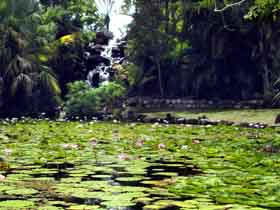 Queens Park Waterfall - Darwin Holiday 0