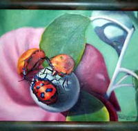 Kingaroy Shire Art Gallery - Darwin Holiday
