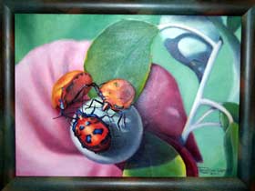 Kingaroy Shire Art Gallery - Darwin Holiday 0