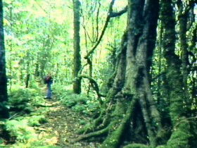 Aratula Primary QLD Darwin Holiday