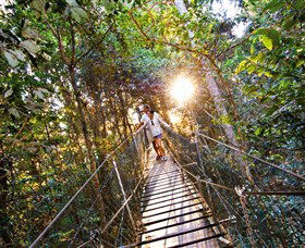 Tree Top Walkway - Darwin Holiday 0