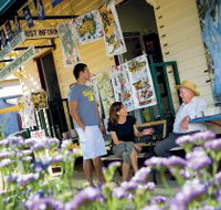 Alpha Petrified Wood - Darwin Holiday