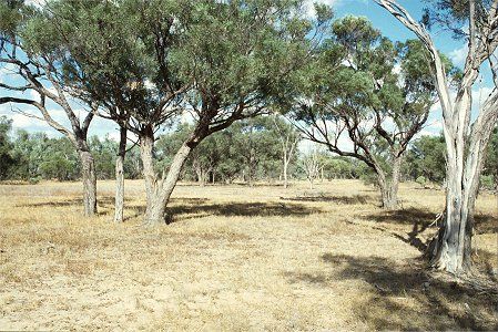 Forest Den National Park - Darwin Holiday 0