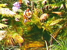 The Tombs Circuit - Darwin Holiday 0