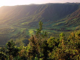 Pine Grove Circuit - Darwin Holiday 0