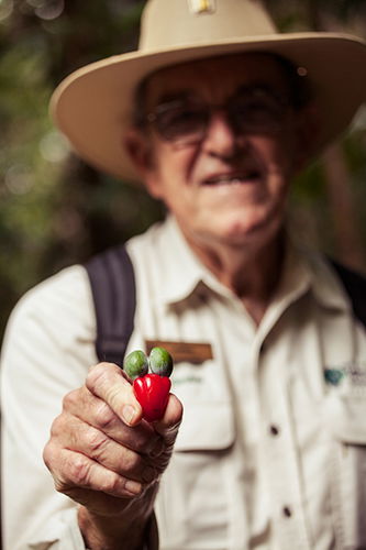 Tondoon Botanic Gardens - Darwin Holiday 1