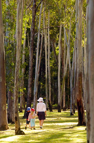 Tondoon Botanic Gardens - Darwin Holiday 3